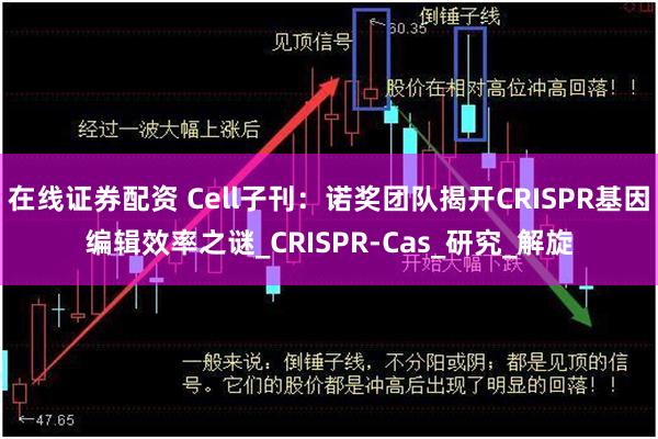 在线证券配资 Cell子刊：诺奖团队揭开CRISPR基因编辑效率之谜_CRISPR-Cas_研究_解旋