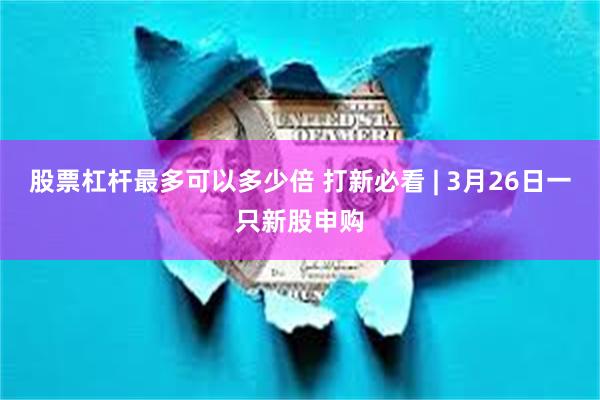 股票杠杆最多可以多少倍 打新必看 | 3月26日一只新股申购