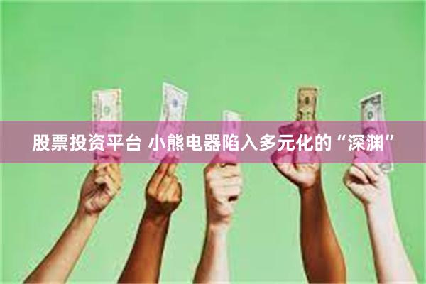 股票投资平台 小熊电器陷入多元化的“深渊”