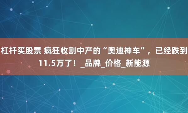 杠杆买股票 疯狂收割中产的“奥迪神车”，已经跌到11.5万了！_品牌_价格_新能源