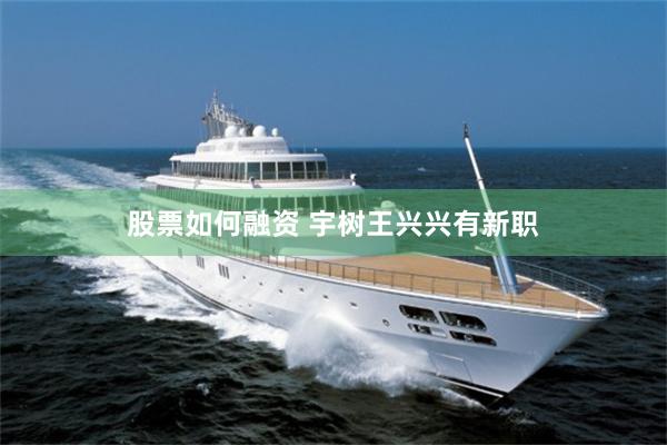 股票如何融资 宇树王兴兴有新职