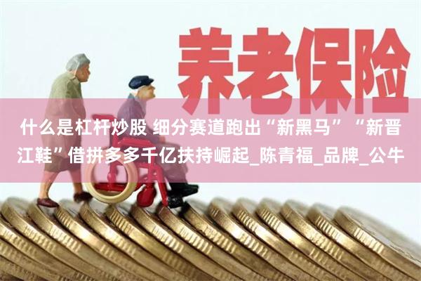 什么是杠杆炒股 细分赛道跑出“新黑马” “新晋江鞋”借拼多多千亿扶持崛起_陈青福_品牌_公牛