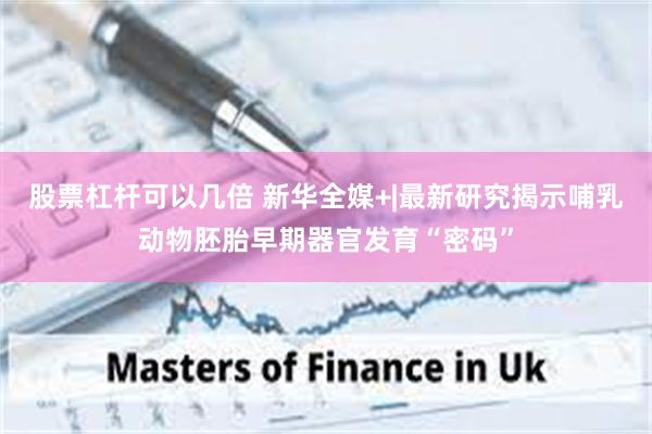 股票杠杆可以几倍 新华全媒+|最新研究揭示哺乳动物胚胎早期器官发育“密码”