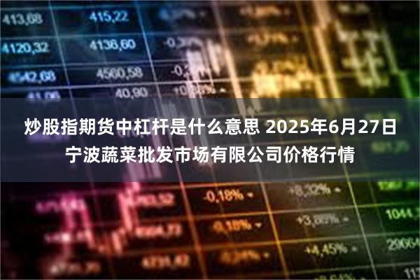 炒股指期货中杠杆是什么意思 2025年6月27日宁波蔬菜批发市场有限公司价格行情