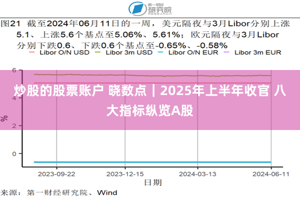 炒股的股票账户 晓数点｜2025年上半年收官 八大指标纵览A股