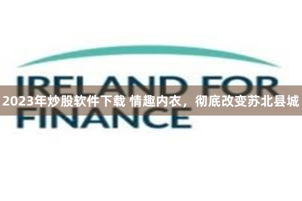 2023年炒股软件下载 情趣内衣，彻底改变苏北县城