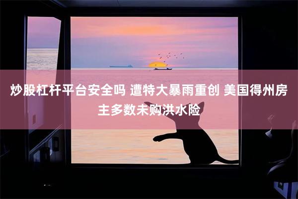 炒股杠杆平台安全吗 遭特大暴雨重创 美国得州房主多数未购洪水险