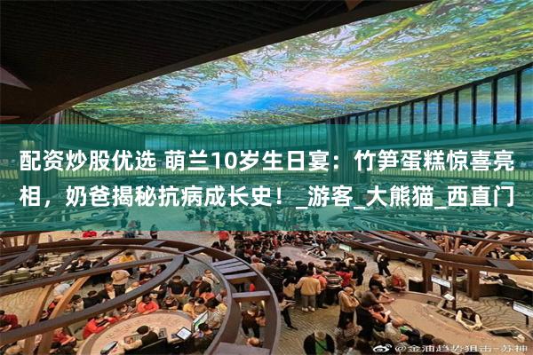 配资炒股优选 萌兰10岁生日宴：竹笋蛋糕惊喜亮相，奶爸揭秘抗病成长史！_游客_大熊猫_西直门