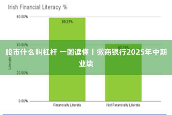 股市什么叫杠杆 一图读懂丨徽商银行2025年中期业绩