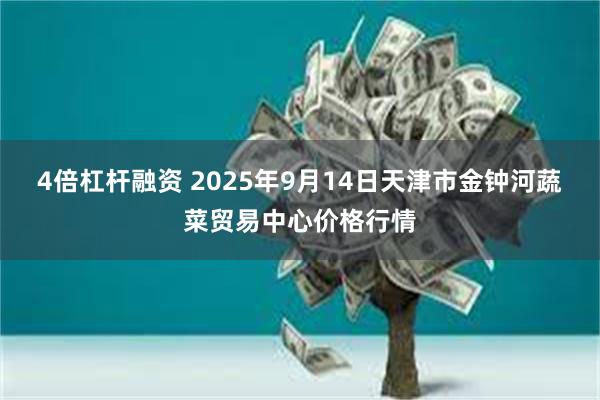 4倍杠杆融资 2025年9月14日天津市金钟河蔬菜贸易中心价格行情