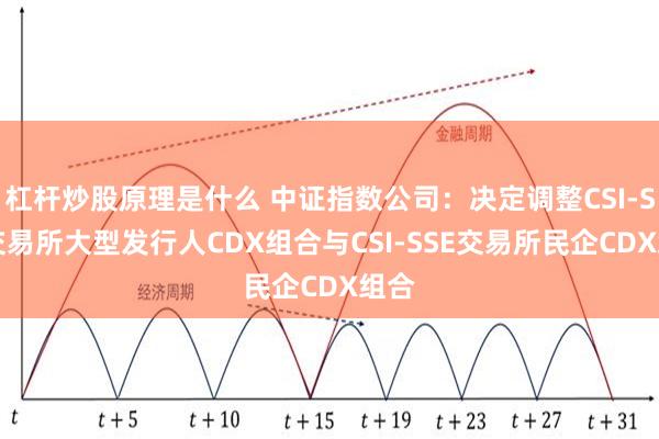 杠杆炒股原理是什么 中证指数公司：决定调整CSI-SSE交易所大型发行人CDX组合与CSI-SSE交易所民企CDX组合