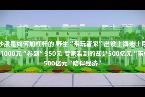 炒股是如何加杠杆的 野生“带玩管家”出没上海迪士尼 从日赚1000元“卷到”350元 专家看到的却是500亿元“陪伴经济”